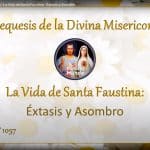 Catequesis 322 Extasis y Asombro