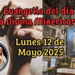 5_20250430_055515_0004