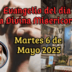 6_20250429_182106_0005