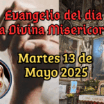 6_20250430_055515_0005