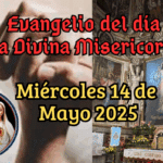 7_20250430_055515_0006