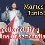 6_20250618_200135_0005