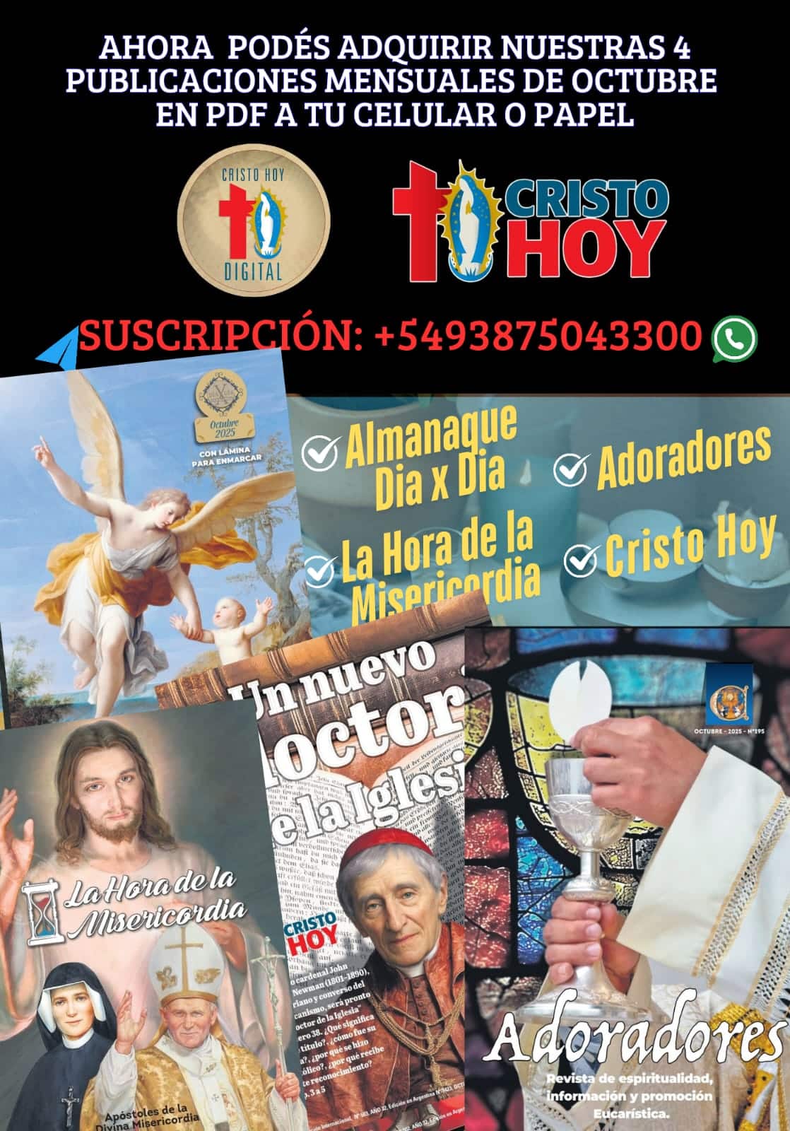 spot_img